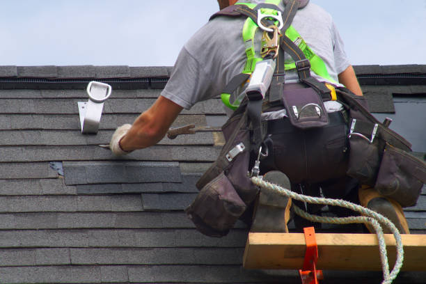 Best Roofing Contractor Near Me  in Lineville, AL