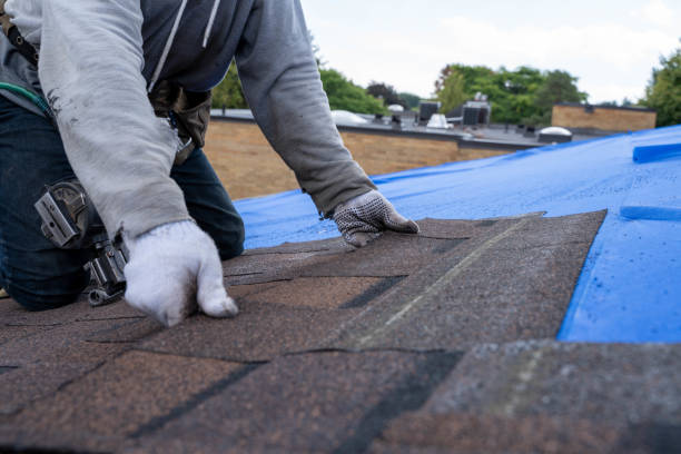 Best Roof Repair Services  in Lineville, AL