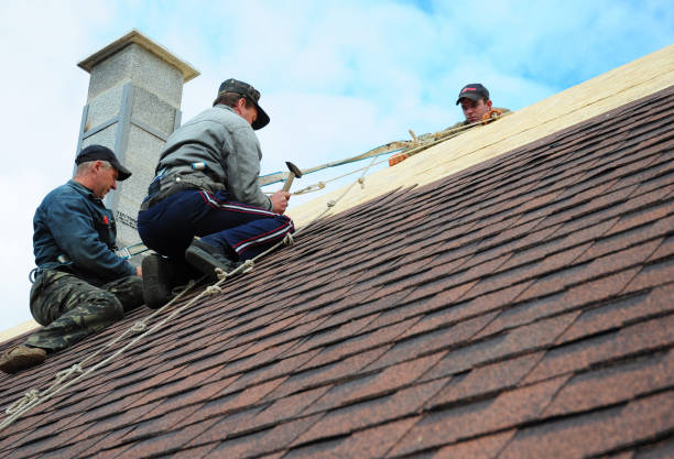 Best Best Roofing Contractors  in Lineville, AL